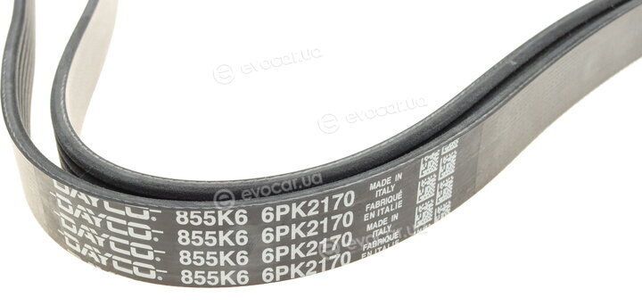 Dayco 6PK2170