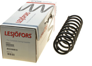 Lesjofors 4295017