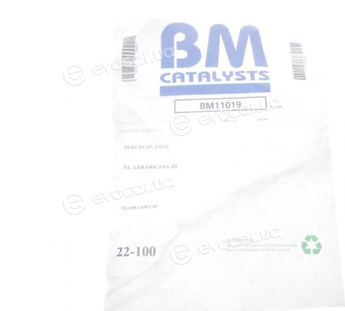 BM Catalysts BM11019