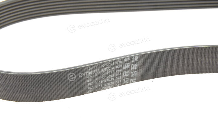 Continental 8PK954 EXTRA