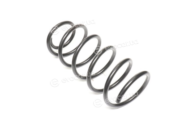 Lesjofors 4014206