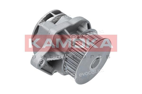 Kamoka T0248