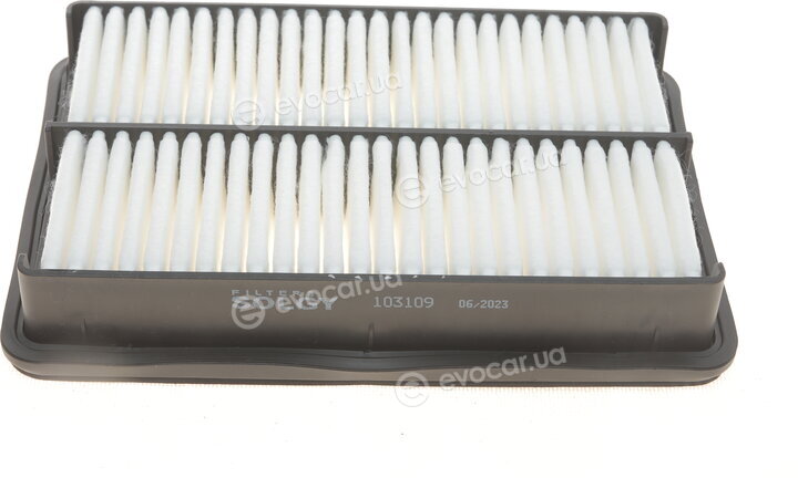 Solgy 103109