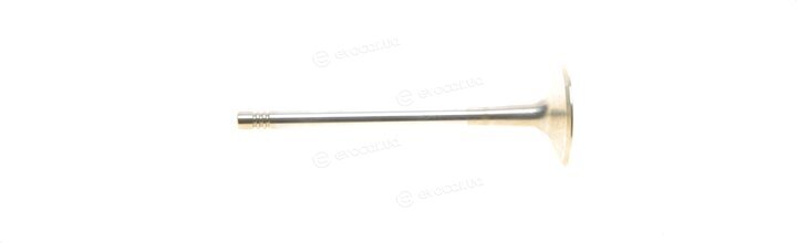 Borsehung B19024
