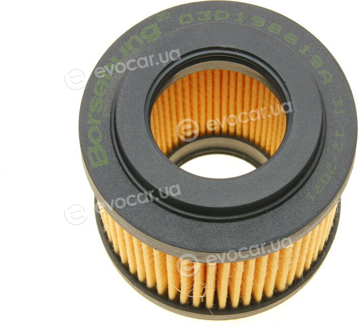Borsehung B12219