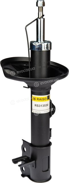 Raiso RS313530