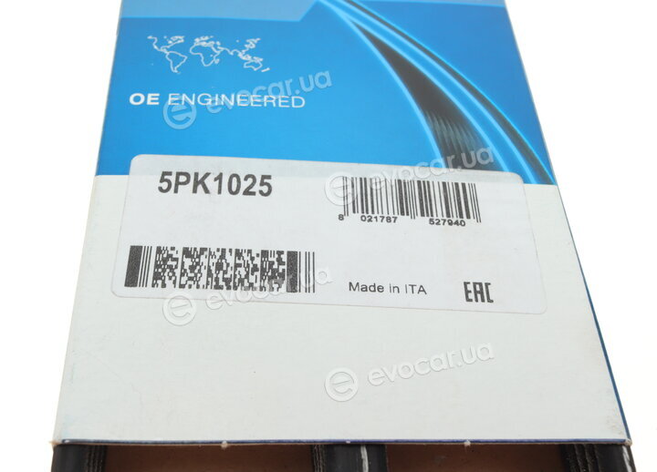 Dayco 5PK1025