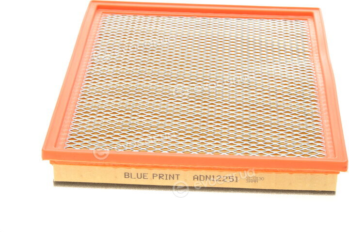 Blue Print ADN12251