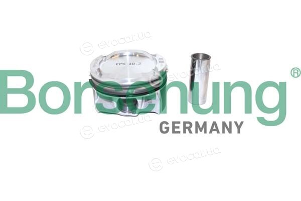 Borsehung B11137