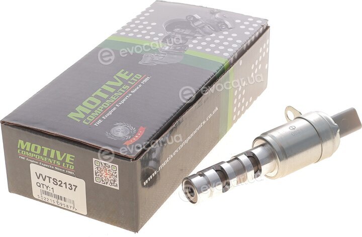 Motive VVTS2137