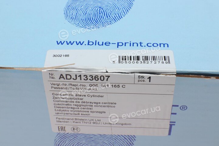 Blue Print ADJ133607