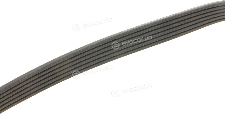 Gates 6PK691-683SF