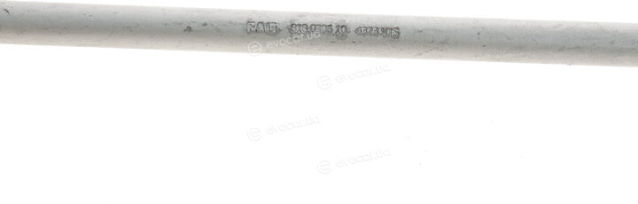 FAG 818 0306 10