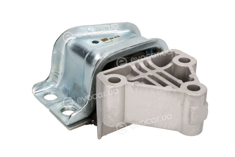 Reinhoch RH111087