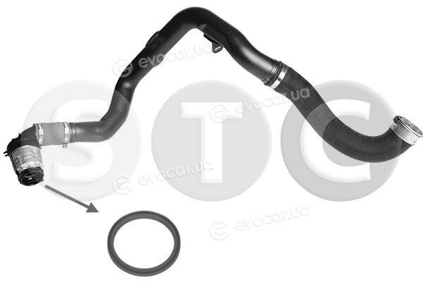 Metalcaucho / STC T498843