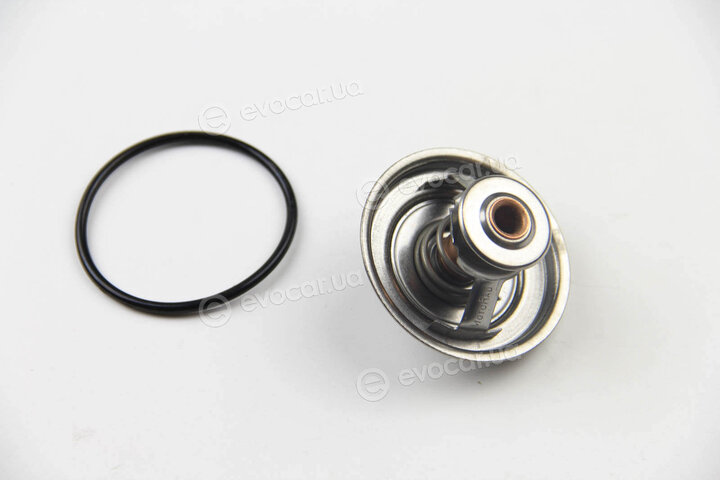 Motorad 551-82K