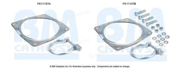 BM Catalysts FK11137