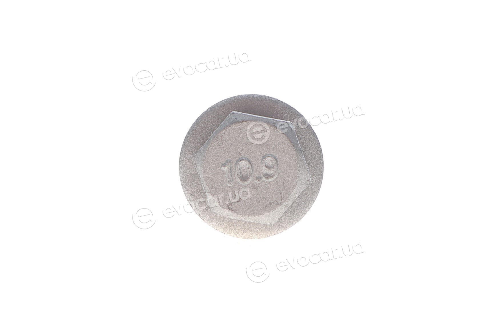 Solgy 204231