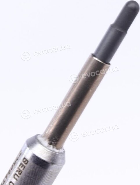 Beru CGP002
