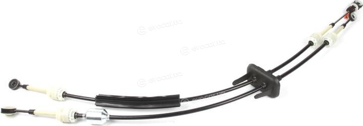 Solgy 119022