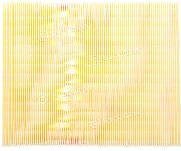 Solgy 103127