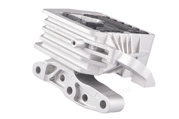Tedgum TED76374