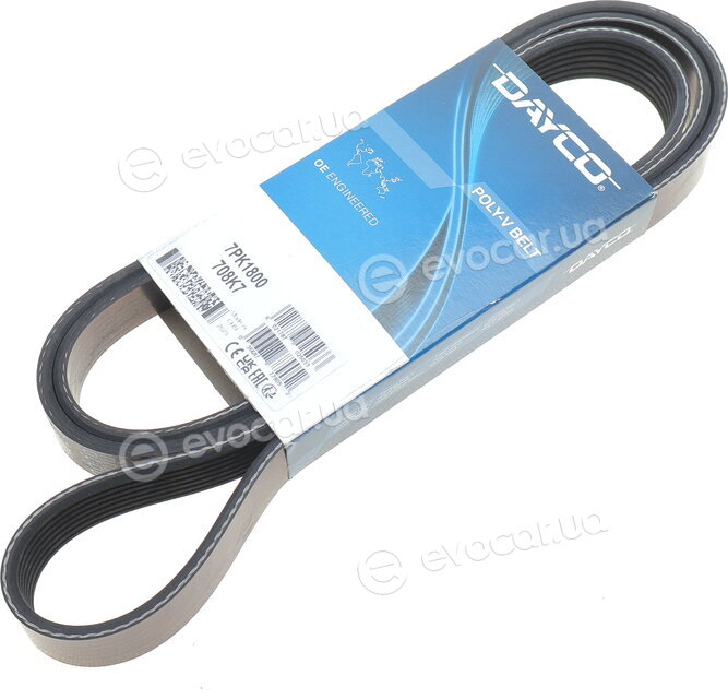 Dayco 7PK1800