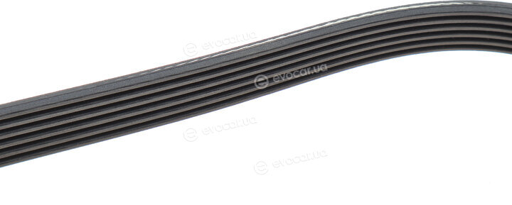 Dayco 6PK1730