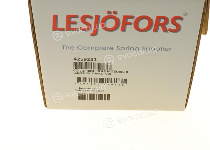 Lesjofors 4259251