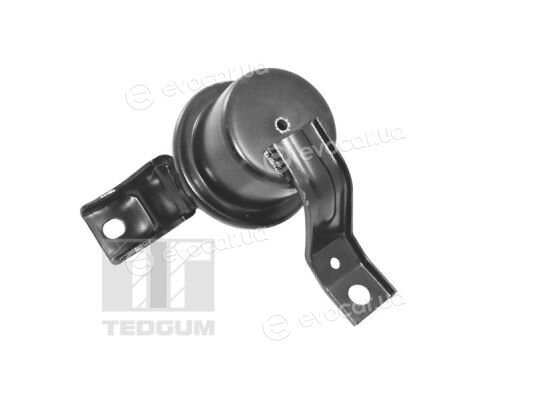 Tedgum TED10622