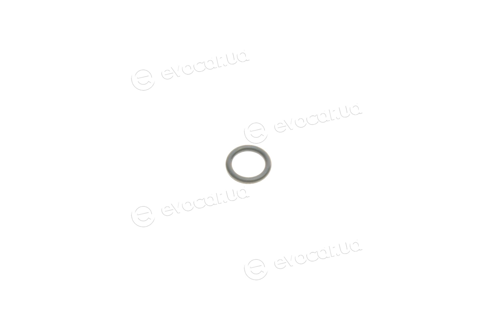 Frenkit 240049
