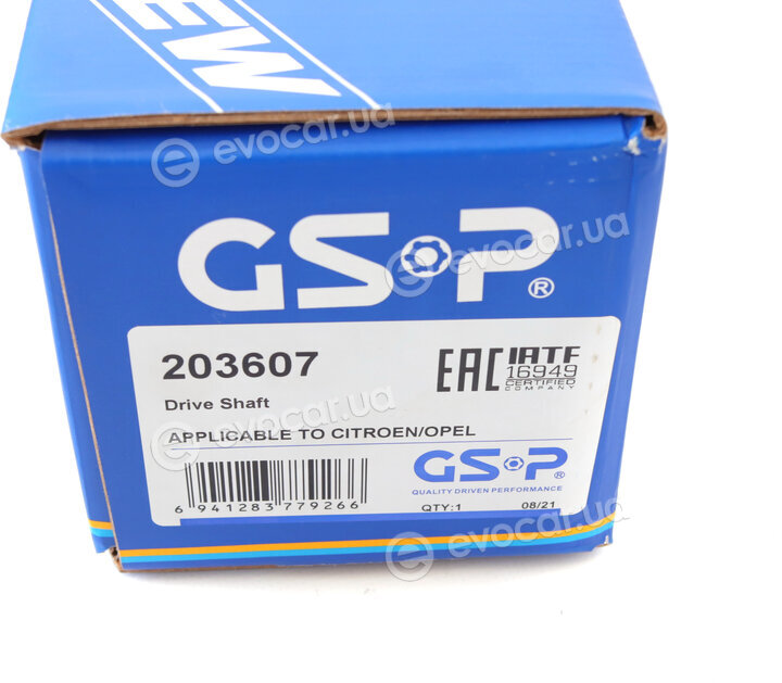 GSP 203607