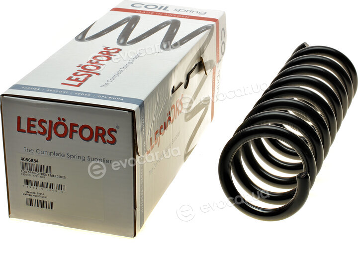 Lesjofors 4056884