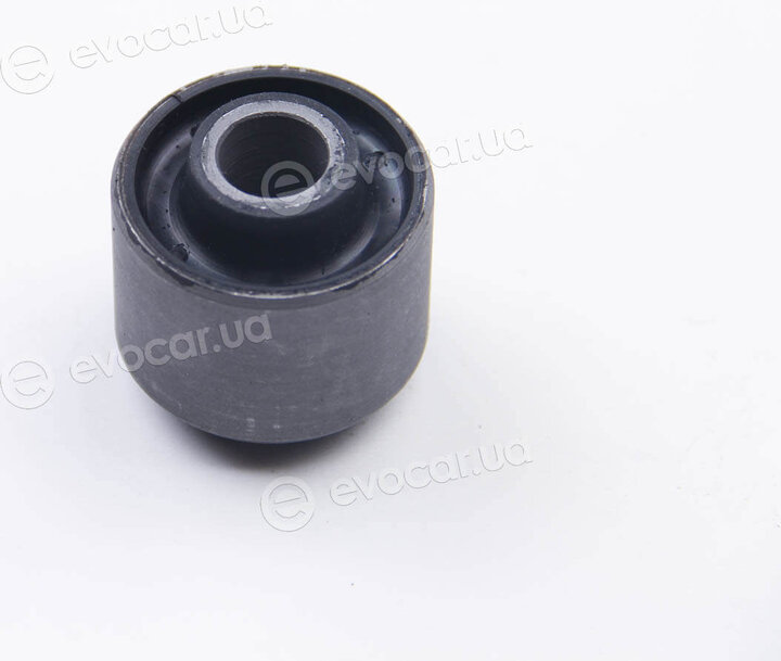 BC Guma 0265