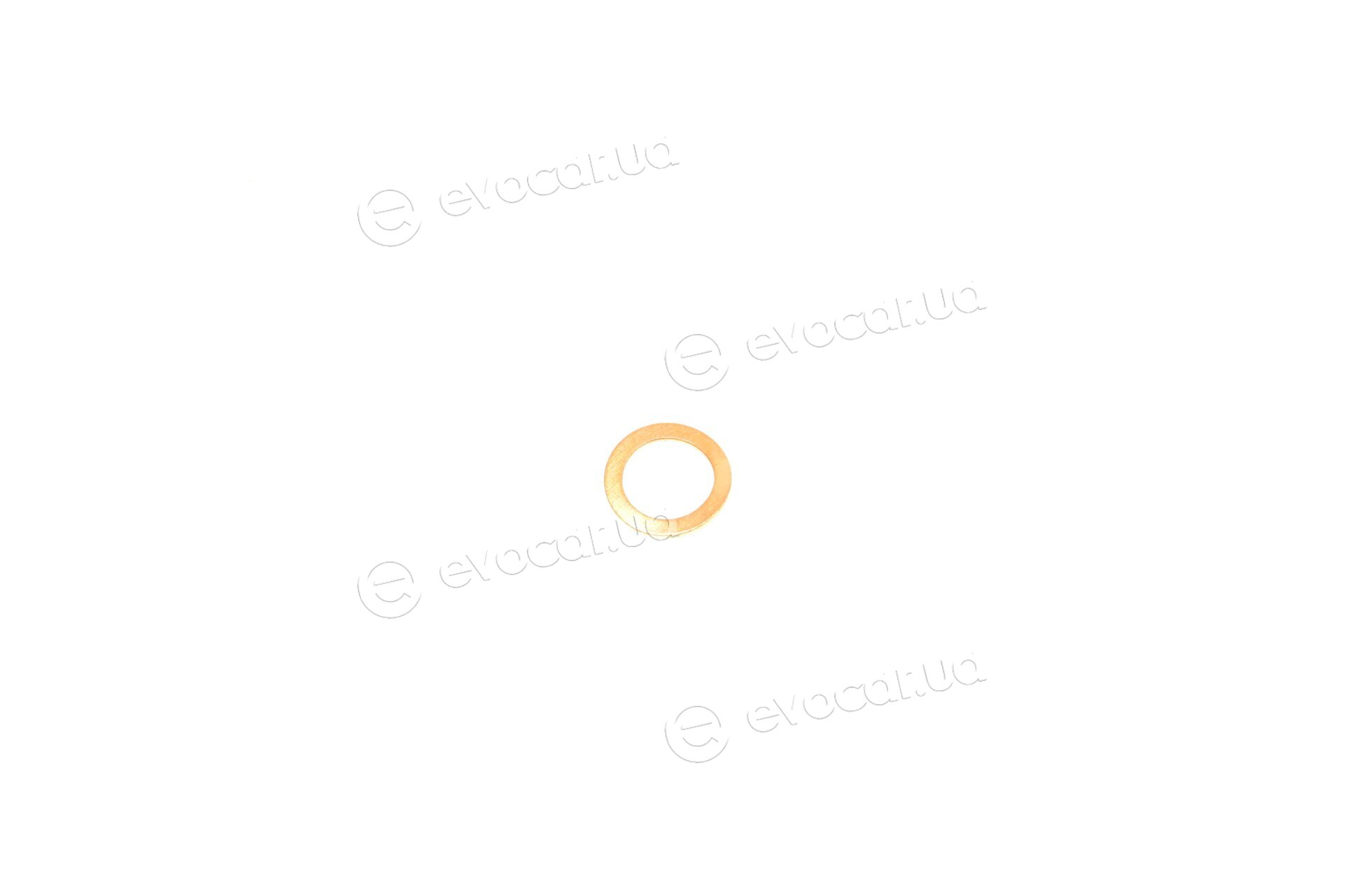 Elring 492.160