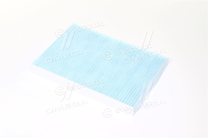 Blue Print ADN12531
