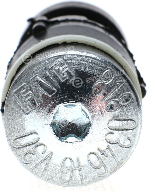 FAG 818 0346 10