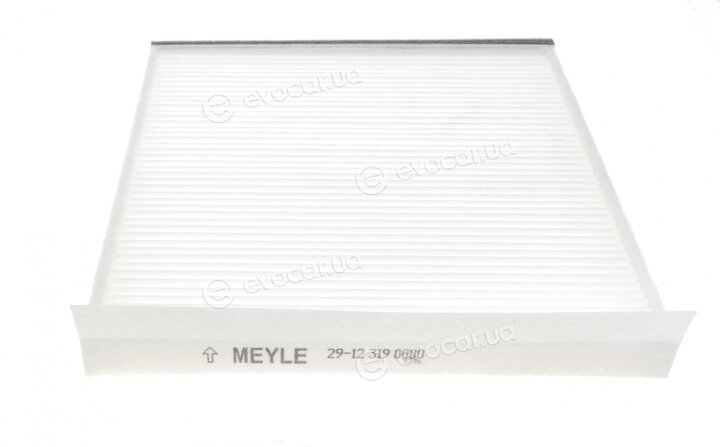 Meyle 29-12 319 0000