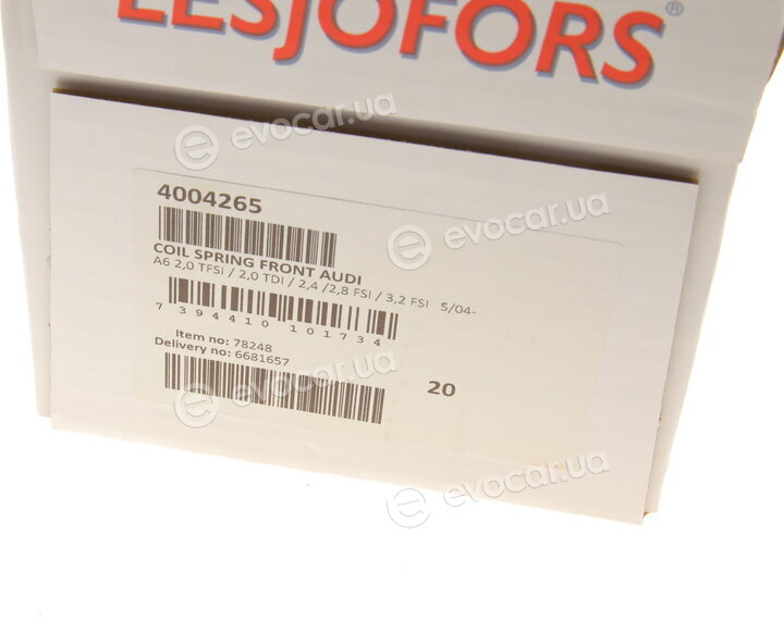 Lesjofors 4004265