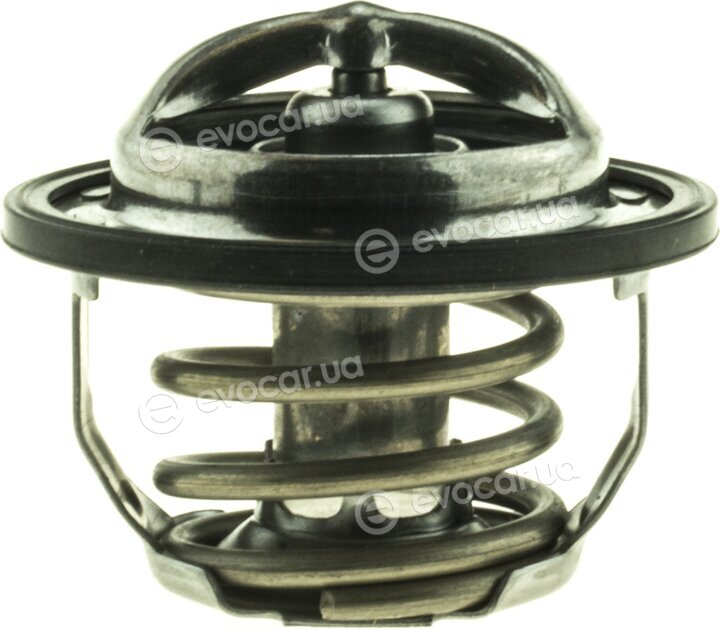 Motorad 546182