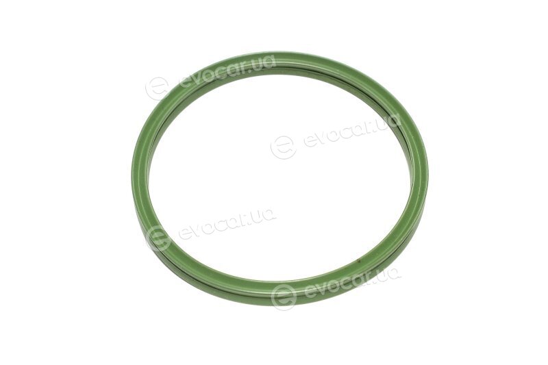 Elring 697.240