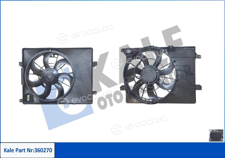 Kale 360270