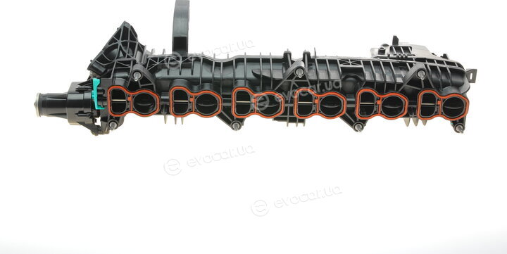 Solgy 114161