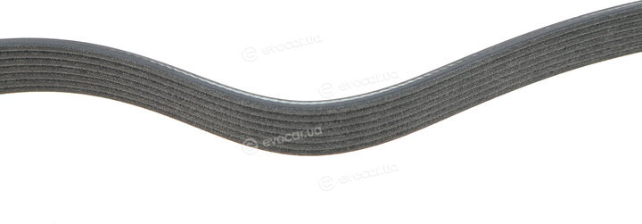Dayco 7PK1236HD