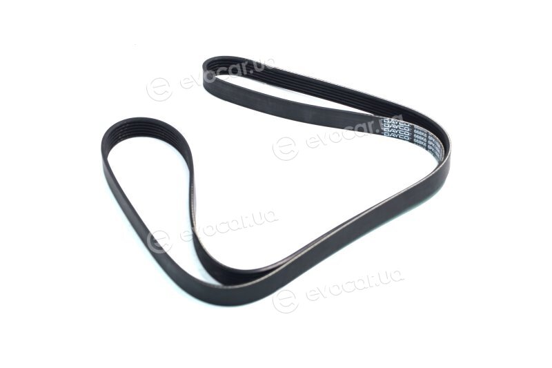 Dayco 6PK1698