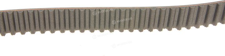 Gates K035491XS