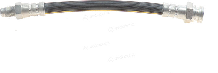 Solgy 210001