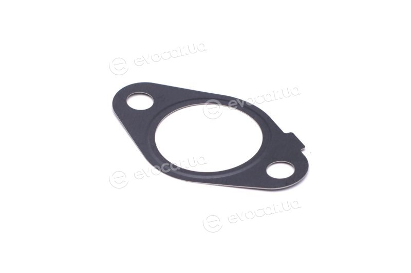 Elring 489.990