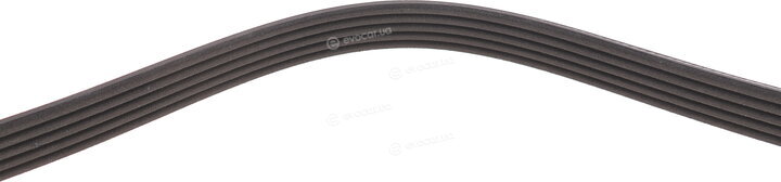 Dayco 5PK1230