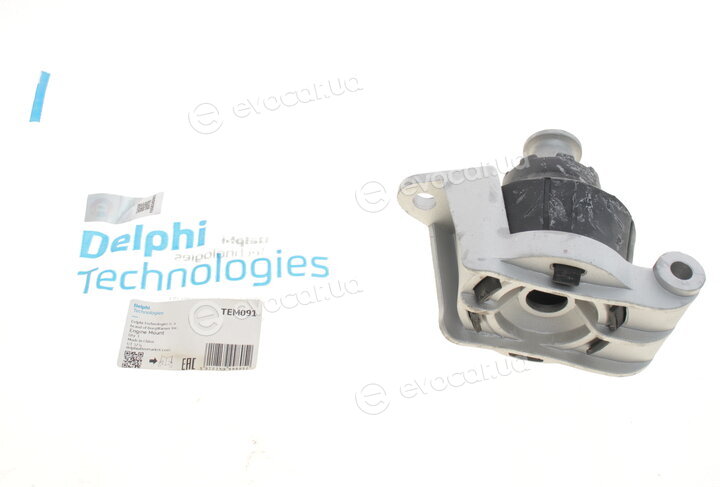 Delphi TEM091